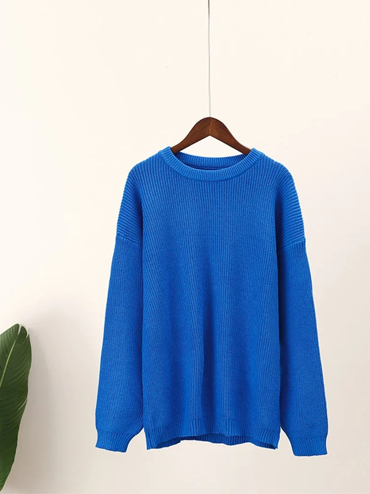 Chique damestrui met lange mouwen en laconiek design